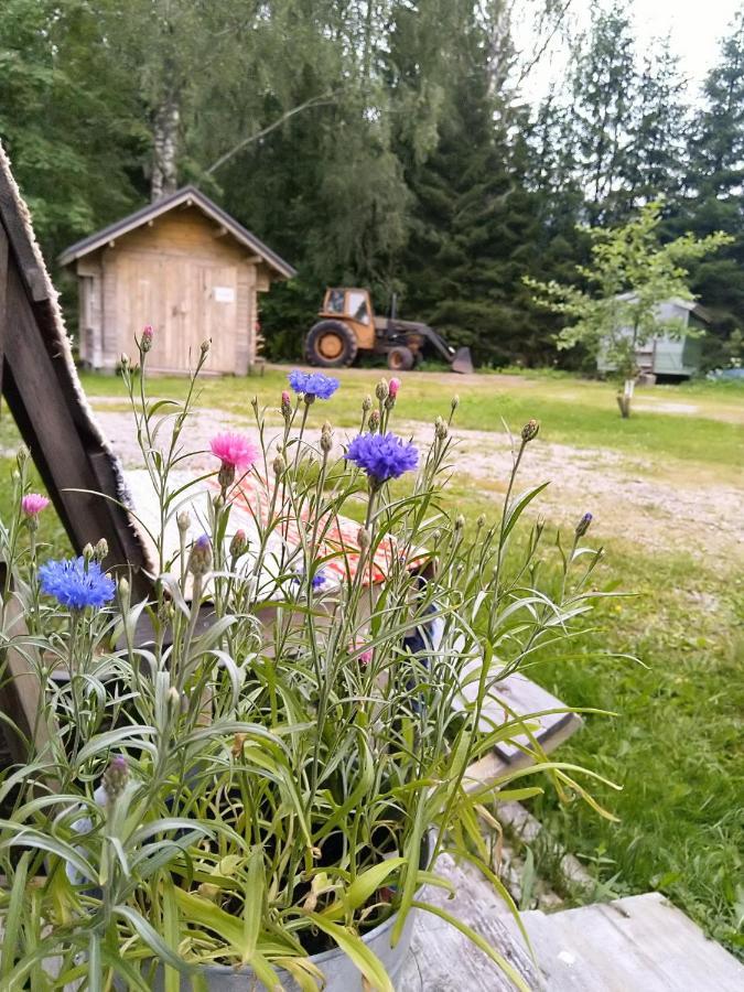 Kulttuurikartano Pekan Pirtit Haapavesi Buitenkant foto